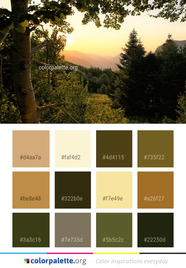 Nature Wilderness Tree Color Palette