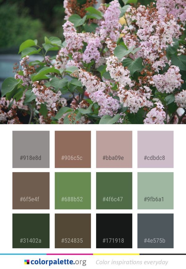 Plant Lilac Nannyberry Color Palette