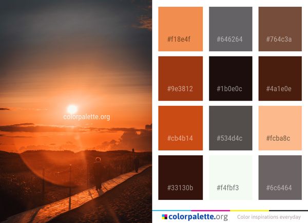 Sky Sun Sunrise Color Palette