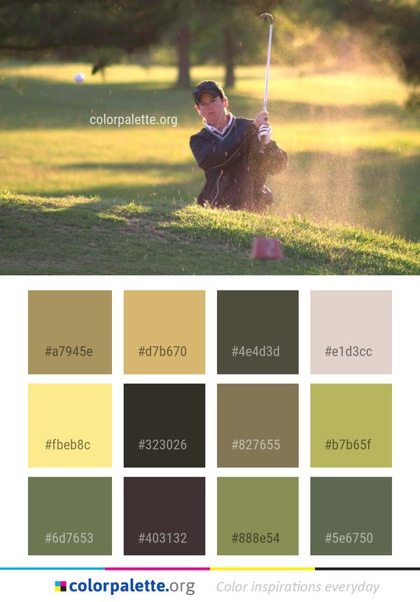 Golfer Golf Grass Color Palette