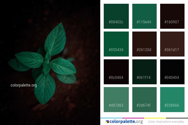 Green Leaf Flora Color Palette