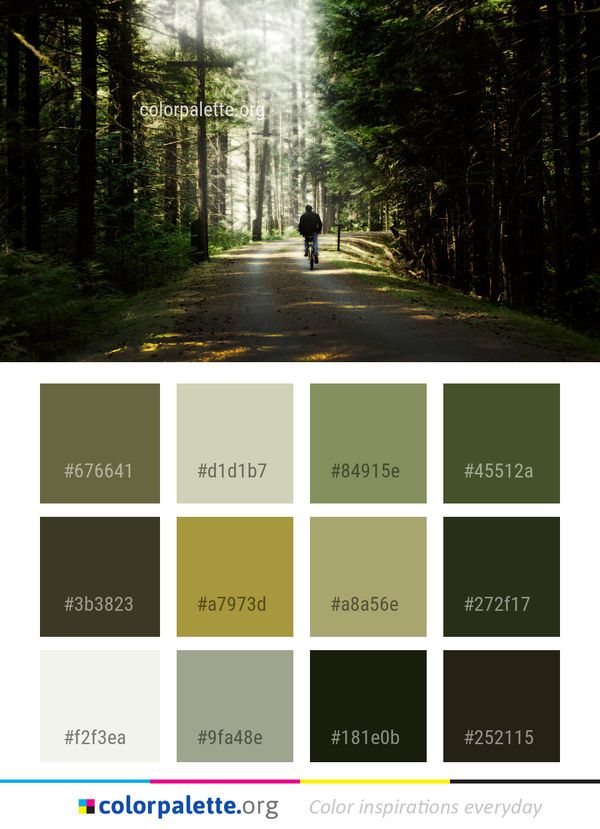Nature Path Forest Color Palette