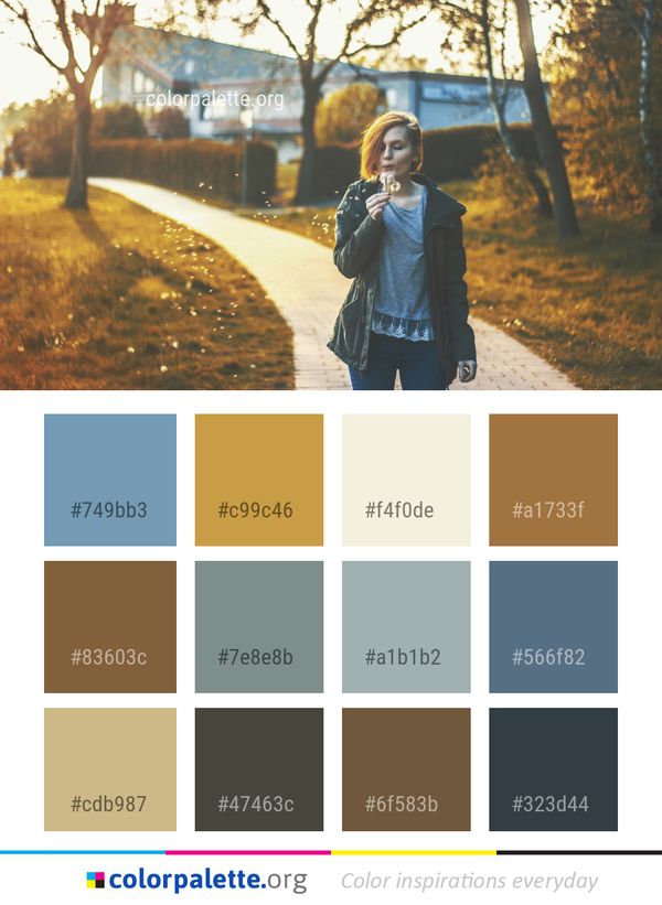 Photograph Nature Tree Color Palette