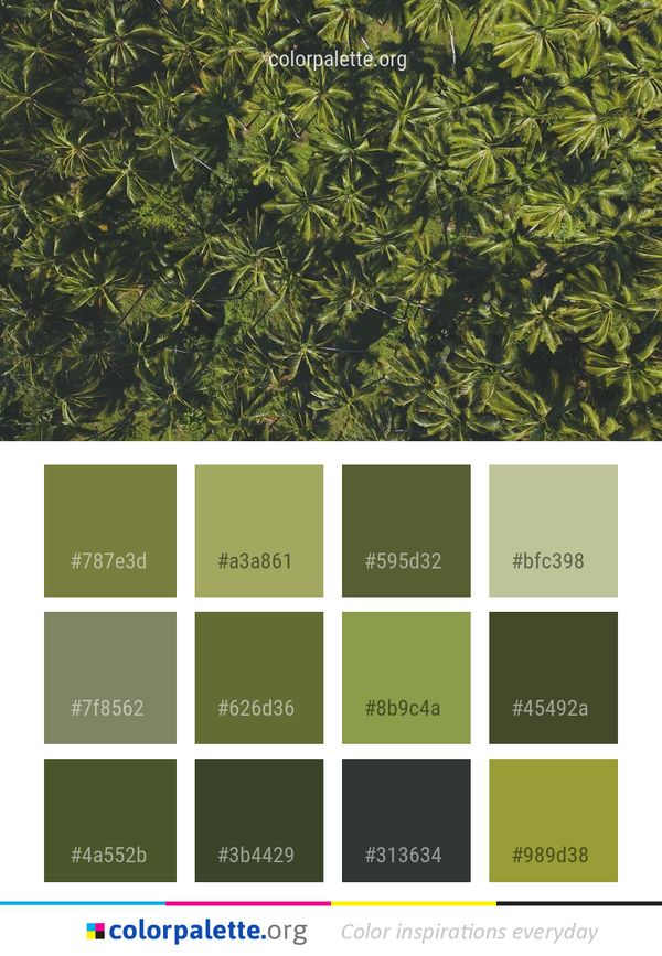 Plant Vegetation Leaf Color Palette