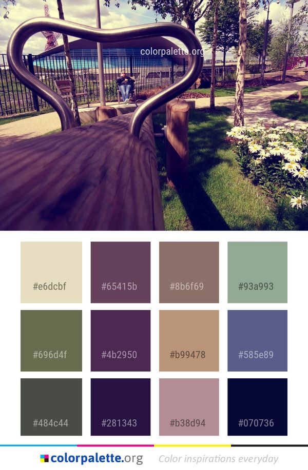 Tree Grass Plant Color Palette