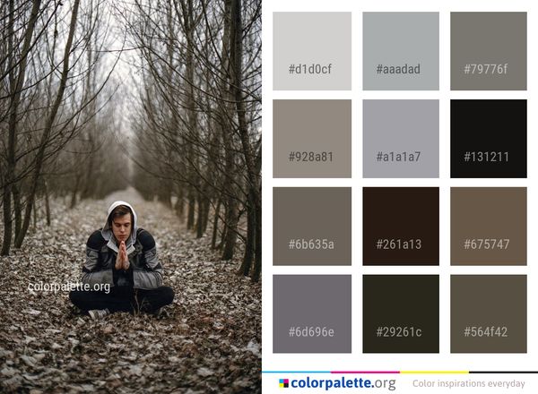 Tree Photograph Nature Color Palette