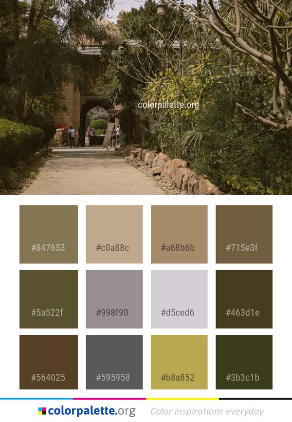 Tree Plant Woody Color Palette