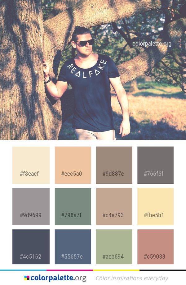 Tree Sunglasses Woody Plant Color Palette