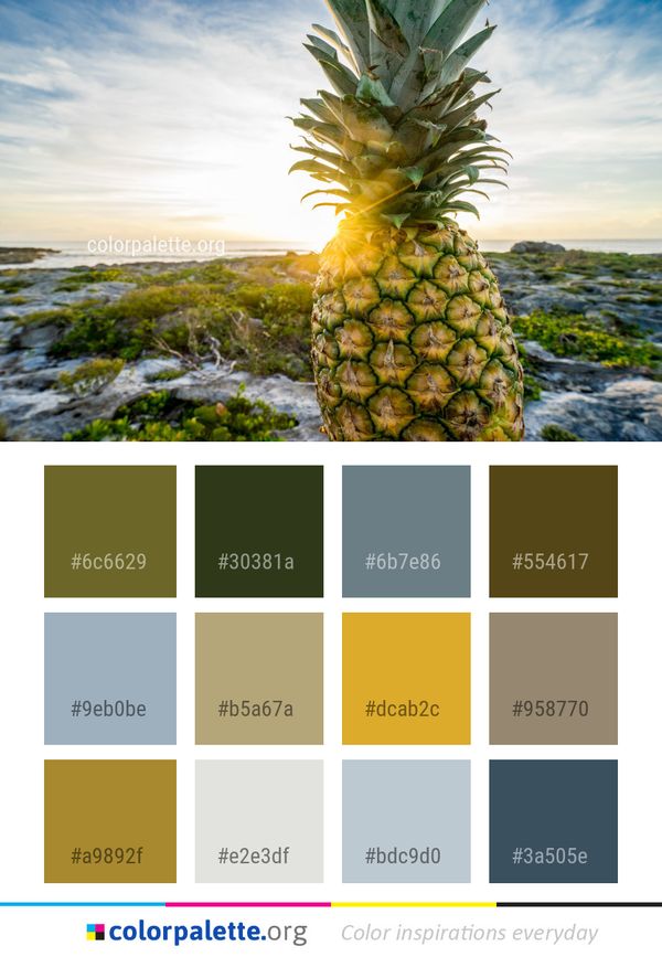 Ananas Pineapple Sky Color Palette