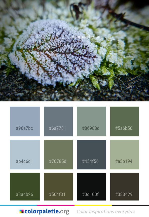 Flora Vegetation Moss Color Palette