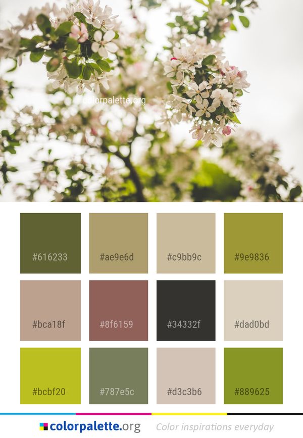 Flower Blossom Spring Color Palette