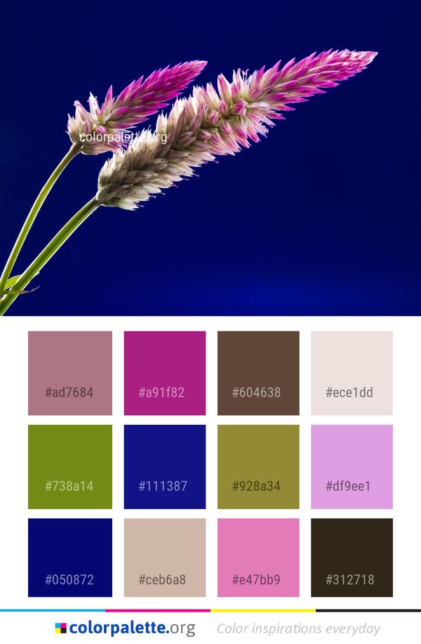 Flower Plant Close Up Color Palette