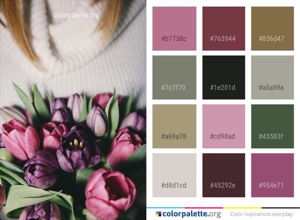 Flower Plant Flowering Color Palette