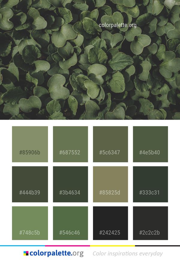 Green Leaf Plant Color Palette