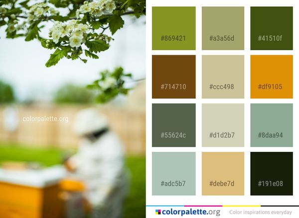 Green Yellow Leaf Color Palette