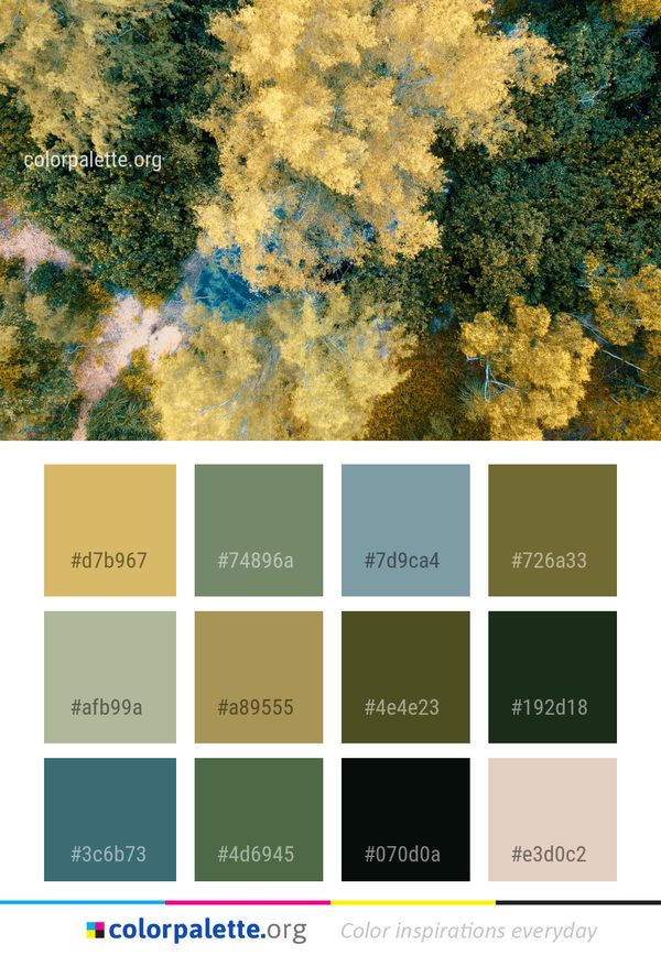 Nature Yellow Vegetation Color Palette
