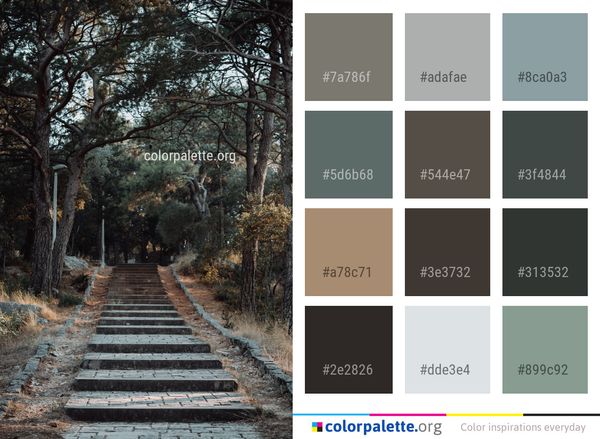 Path Nature Tree Color Palette