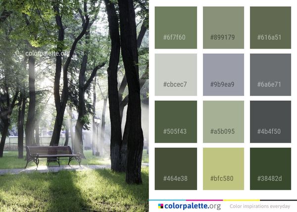 Tree Grove Park Color Palette