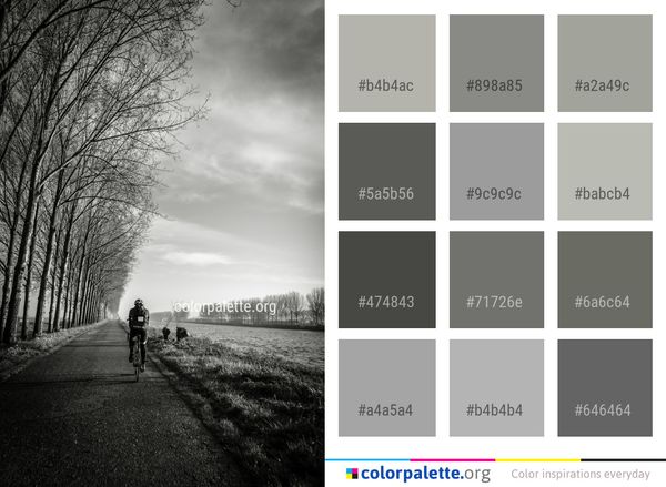Tree Sky Black And White Color Palette