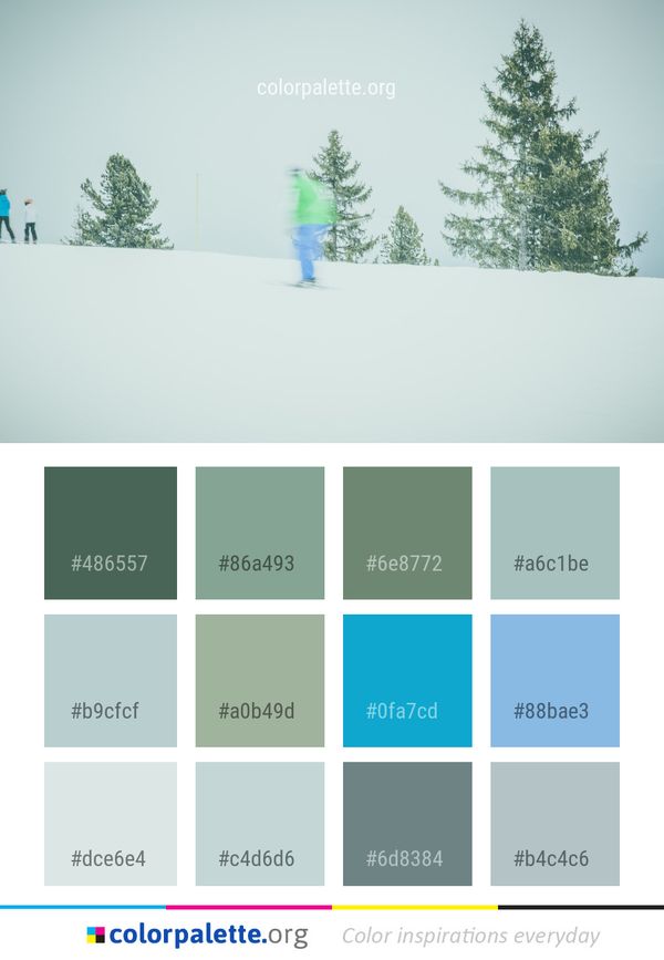 Winter Snow Tree Color Palette
