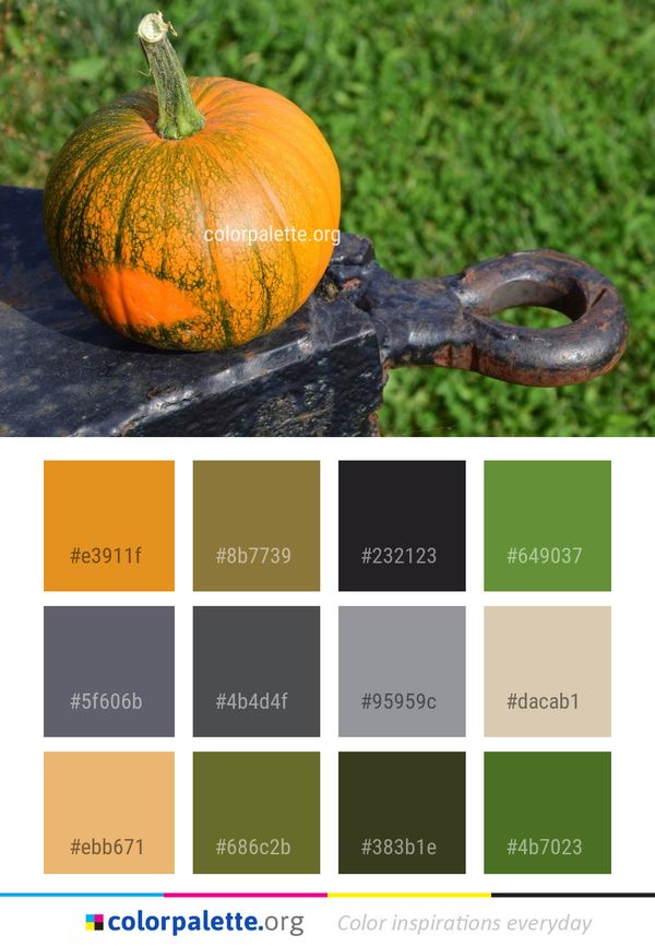Winter Squash Cucurbita Pumpkin Color Palette