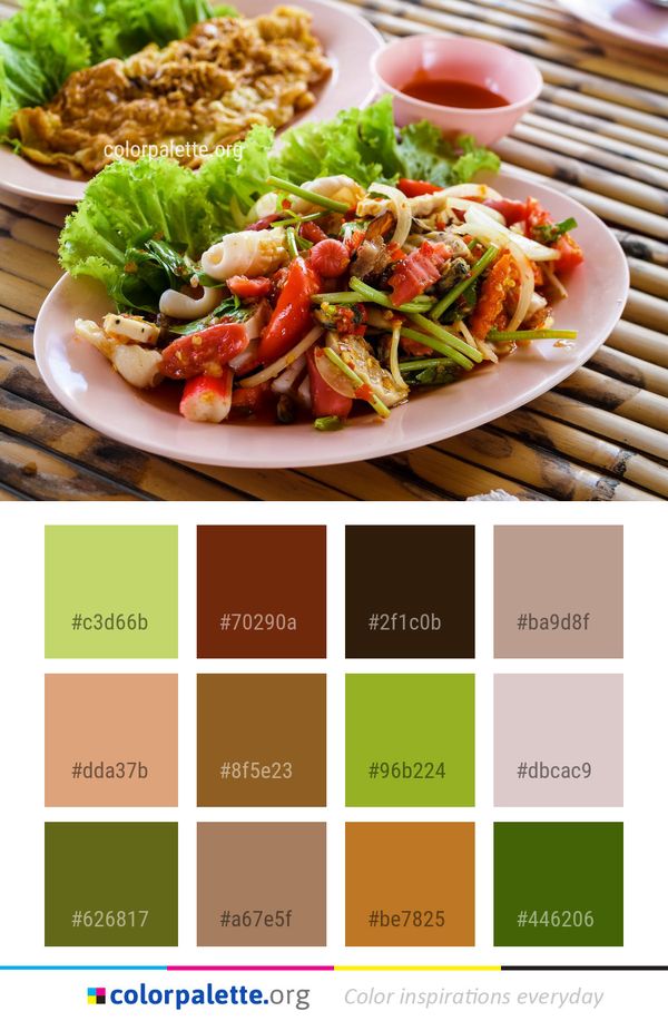 Dish Food Cuisine Color Palette