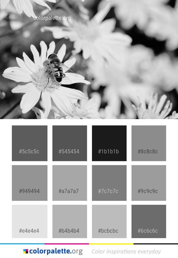 Flower White Black And Color Palette