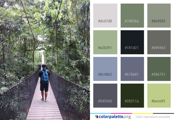 Nature Path Tree Color Palette