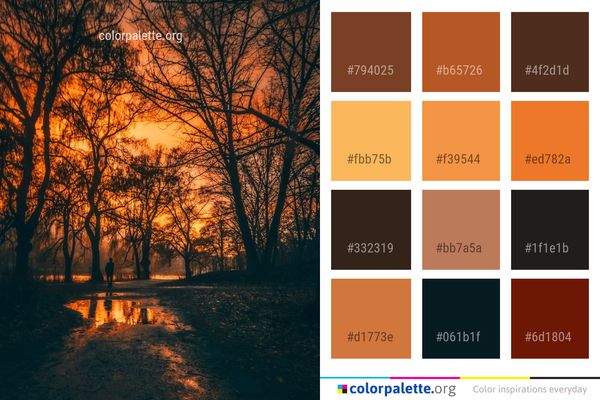 Nature Sky Sunrise Color Palette