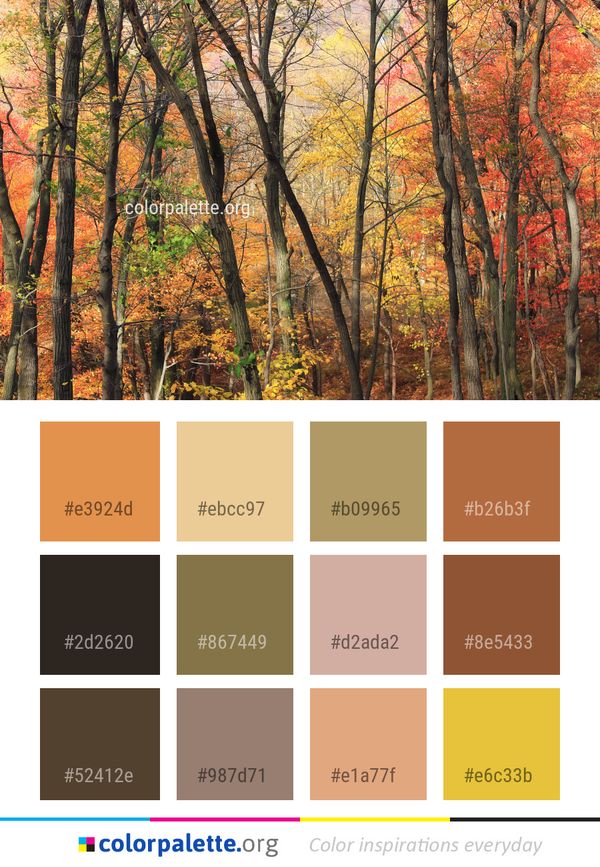 Nature Woodland Ecosystem Color Palette