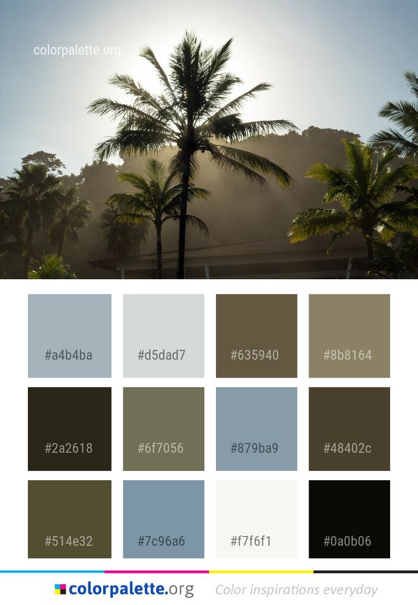 Palm Tree Arecales Color Palette