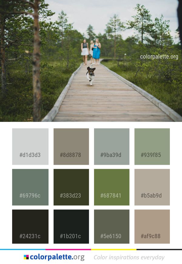Path Tree Trail Color Palette