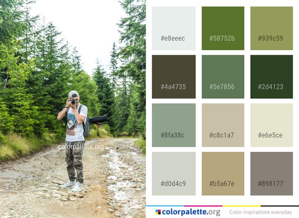 Path Wilderness Tree Color Palette
