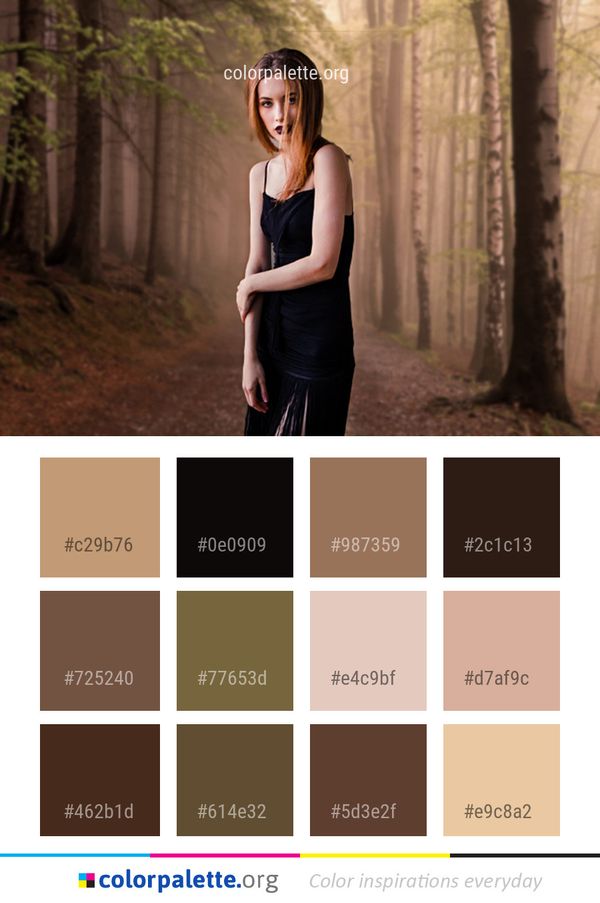 Photograph Beauty Girl Color Palette
