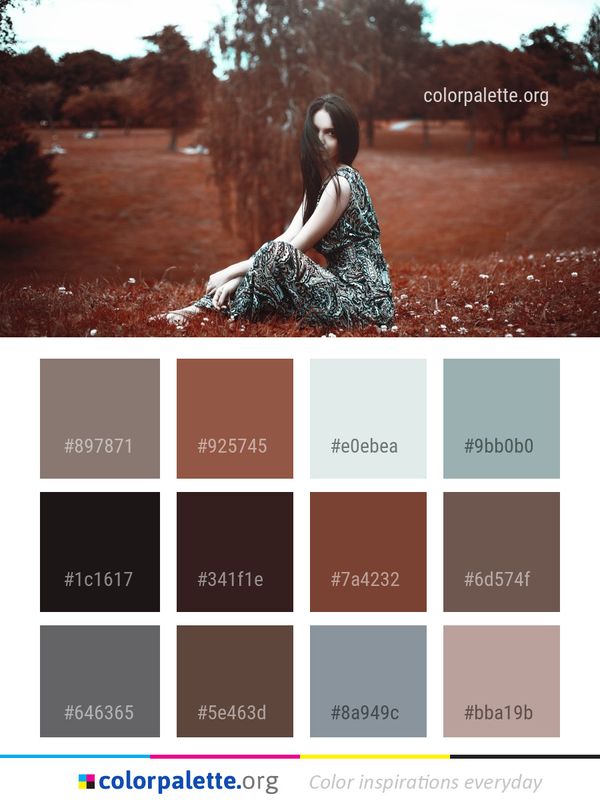 Photograph Nature Tree Color Palette