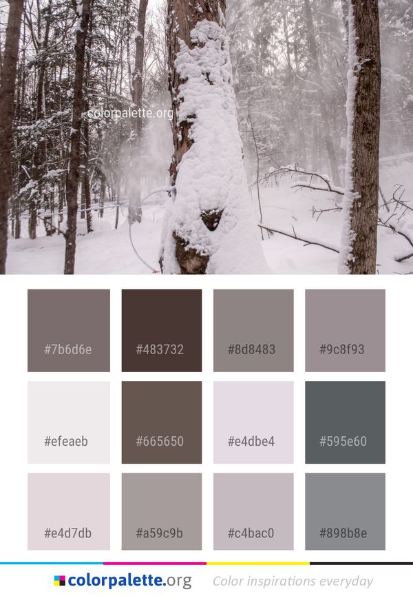 Snow Winter Freezing Color Palette