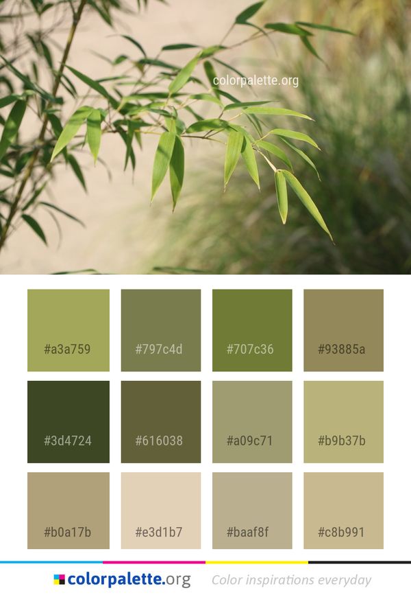 Vegetation Leaf Plant Color Palette