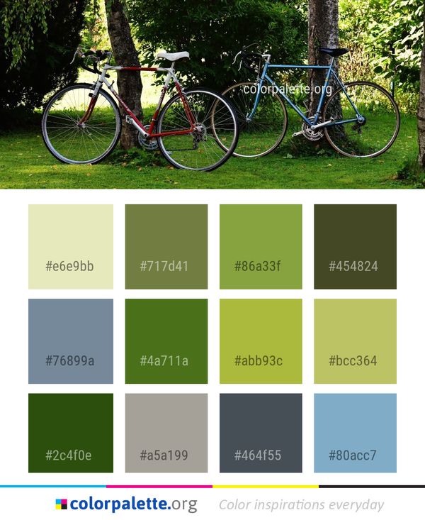 Bicycle Land Vehicle Road Color Palette