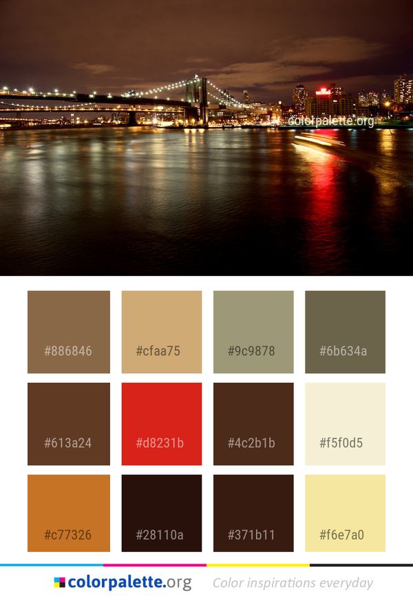 Cityscape Reflection Night Color Palette