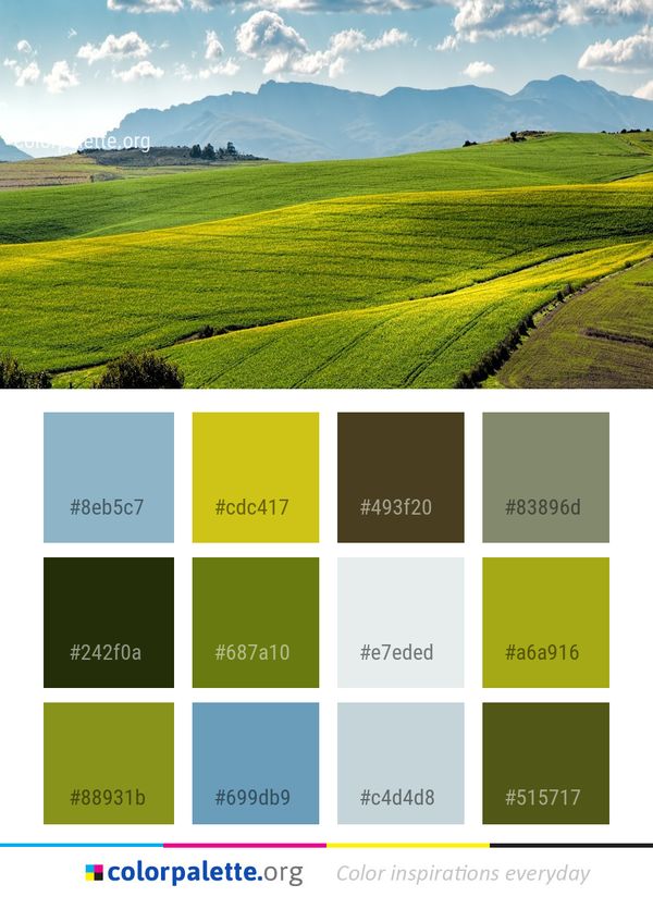 Grassland Highland Field Color Palette