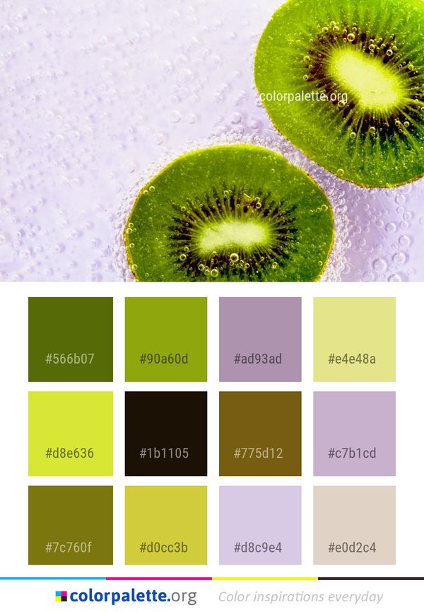 Kiwifruit Fruit Close Up Color Palette
