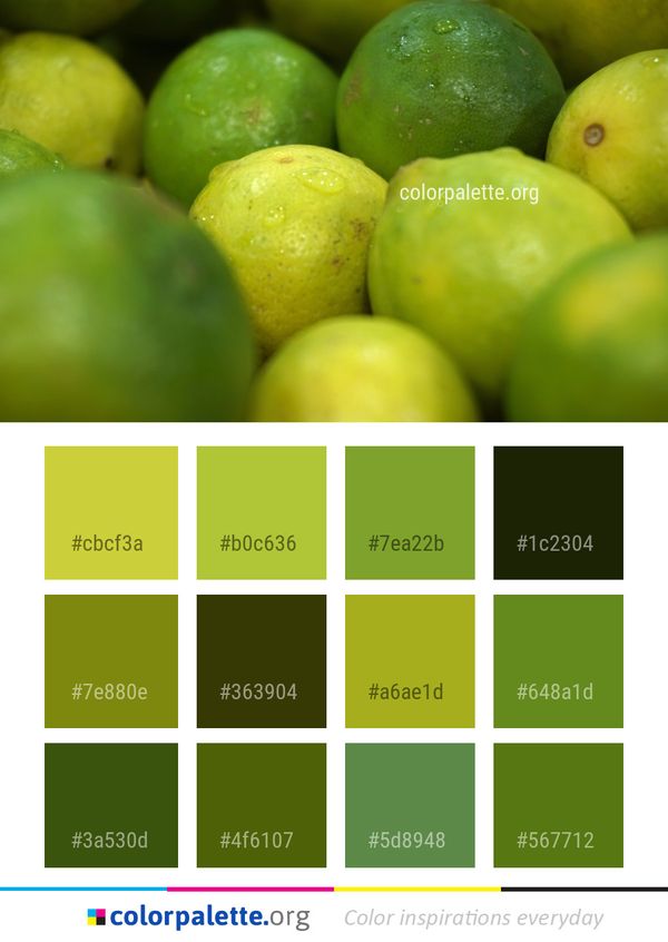Natural Foods Fruit Lime Color Palette