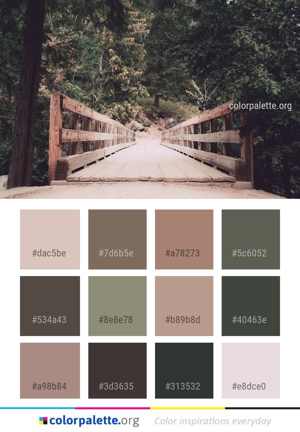 Path Tree Road Color Palette