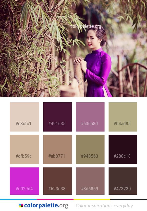Photograph Nature Beauty Color Palette