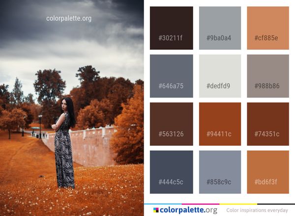 Photograph Nature Sky Color Palette