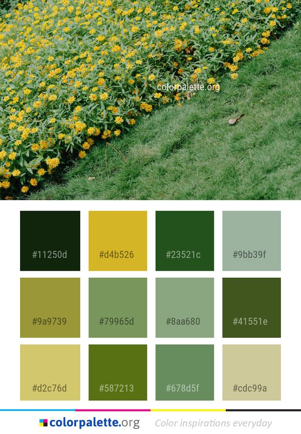 Plant Flower Field Color Palette