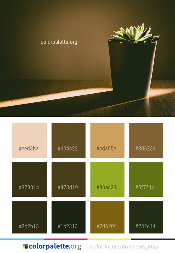 Plant Flowerpot Still Life Photography Color Palette