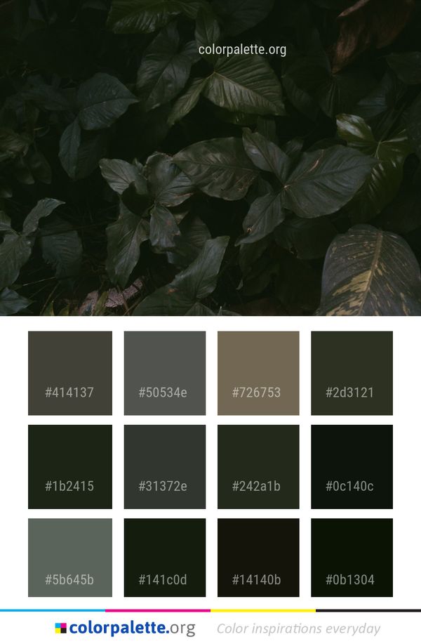 Plant Leaf Flora Color Palette
