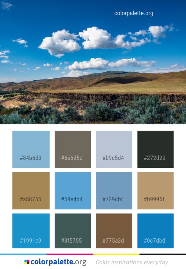 Sky Grassland Ecosystem Color Palette