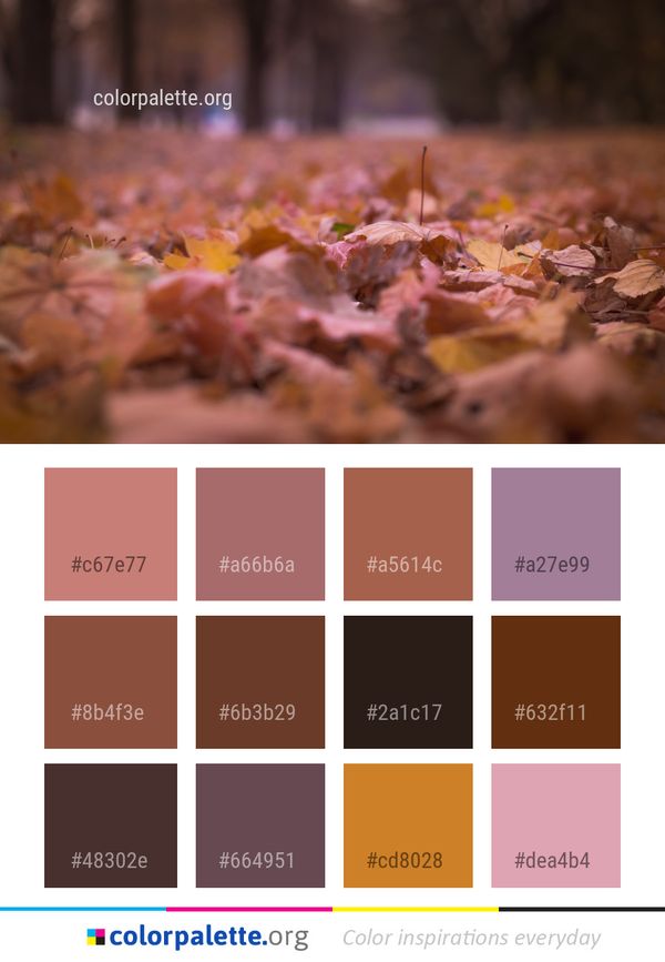 Autumn Yellow Leaf Color Palette